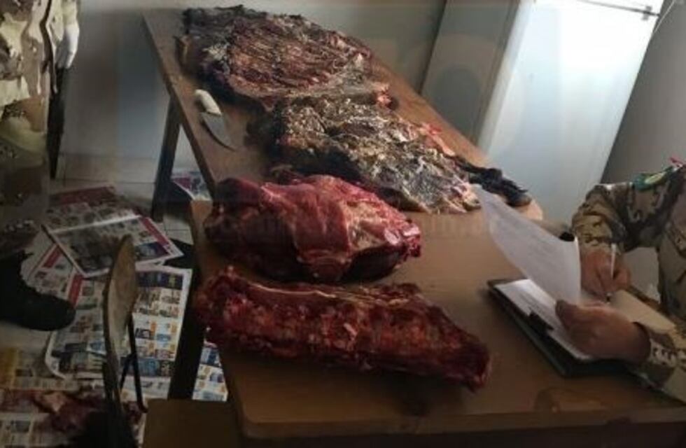 En plena fiesta de 15, llegó la policía y secuestró el asado
