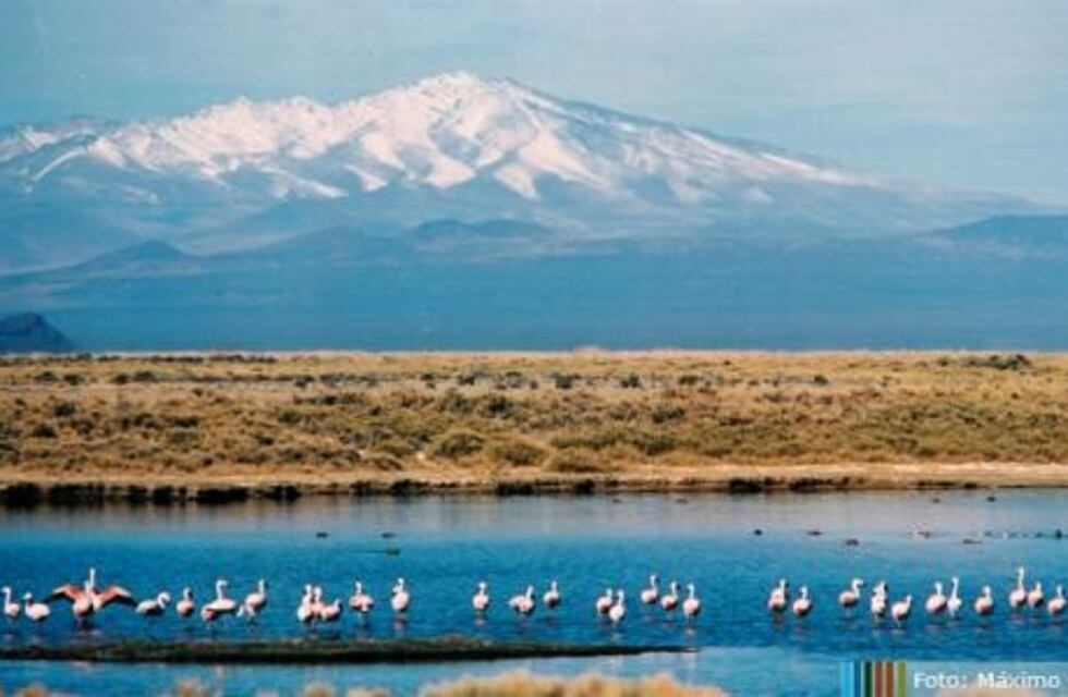Cerraron las reservas naturales en el sur mendocino hasta fin de mes