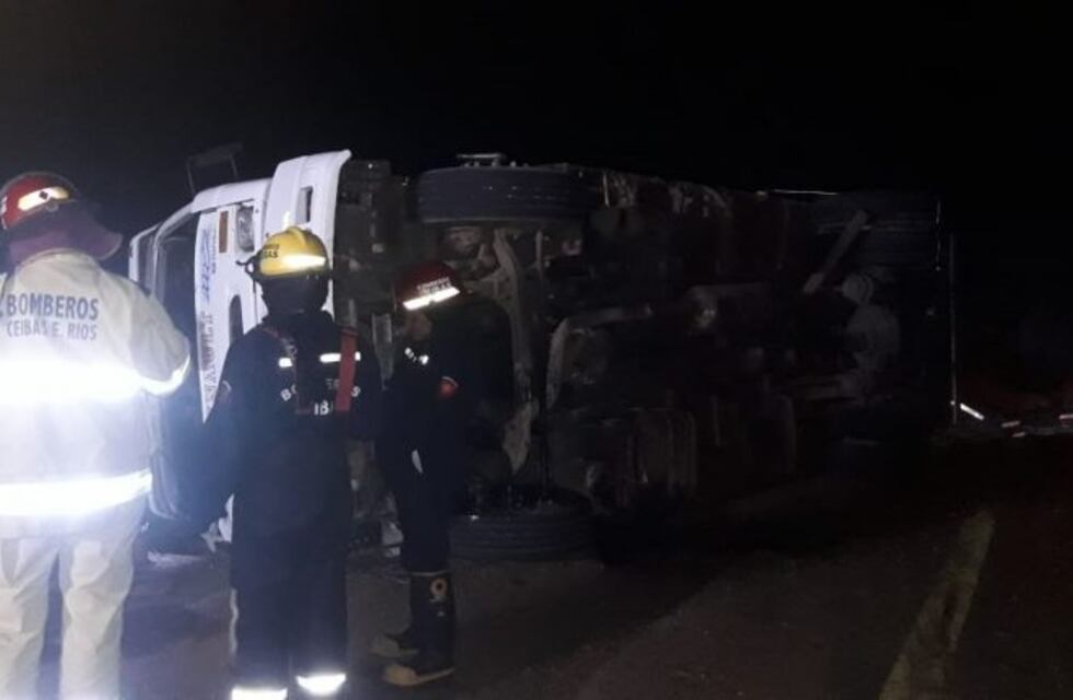 Un camión cargado de madera volcó en la Autovía 14