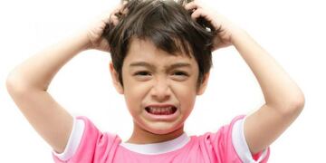 Pediculosis: una batalla eterna