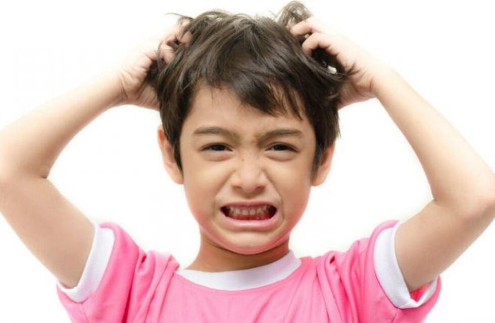 Pediculosis: una batalla que parece eterna