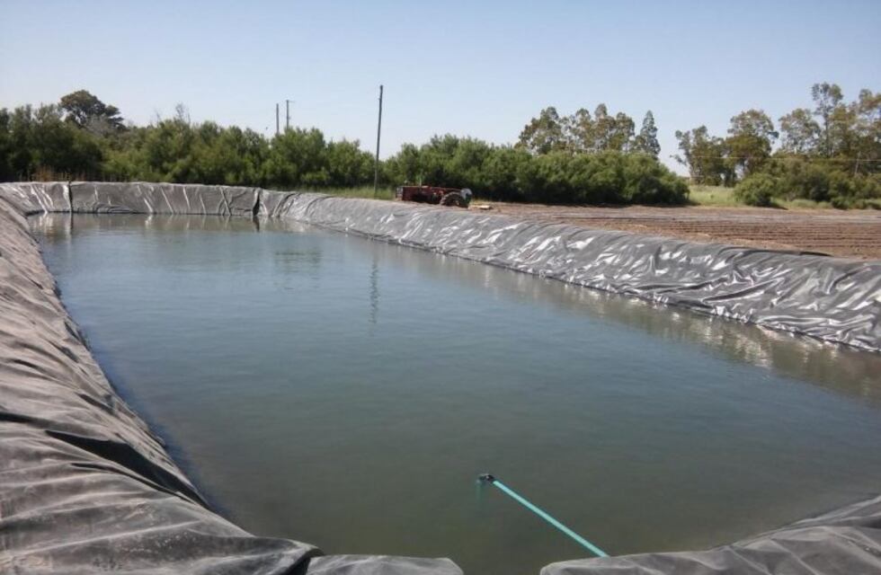 Construirán reservorios para riego de verduras y hortalizas en Alvear