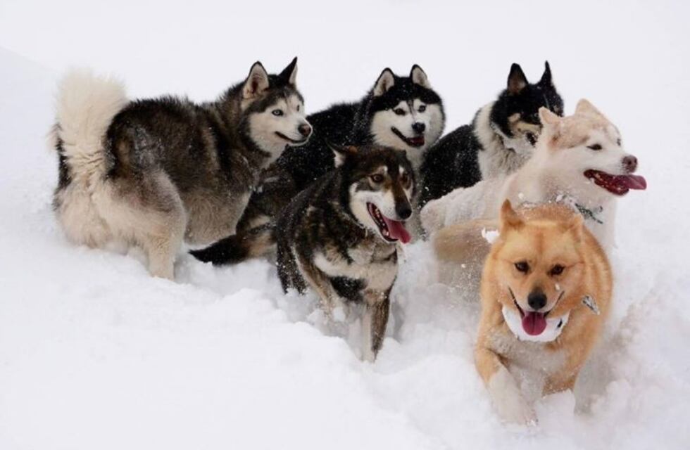 EL INFUETUR lanzó el concurso fotográfico #FanDeLaNieve