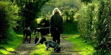 La pareja no quiere volver sin sus cuatro perros\u002E