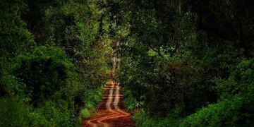 Salvador presentó su libro vía streaming\u002E