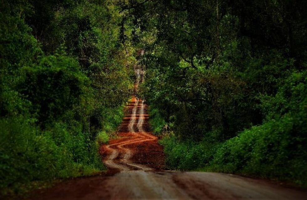 Presentaron el libro "La Utopía Heredada" sobre la vida del obispo Joaquín Piña