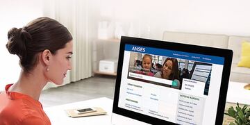 Historia laboral Anses\u002E
