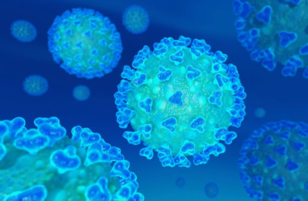 Un nuevo caso de Coronavirus en La Rioja: Son 51 los pacientes positivos