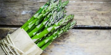 Temporada de espárragos\u002E