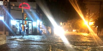 Temporal en Salta\u002E (Web)