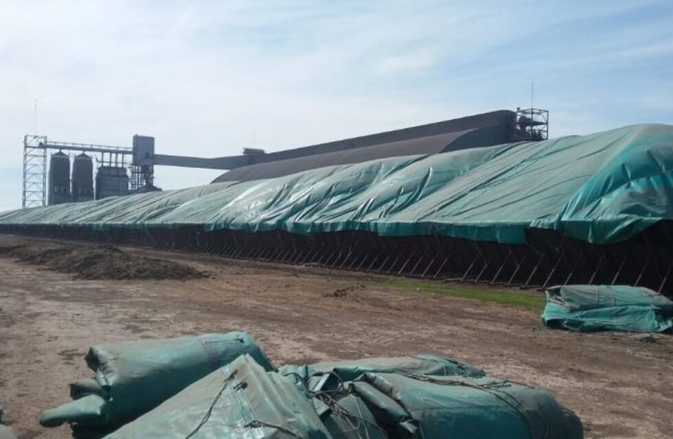 Intimaron a una de las aceiteras más grandes del país por venta irregular de harina