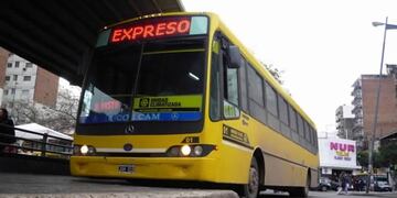 Expreso, la línea de colectivos en el murió un chofer este lunes\u002E (Archivo)
