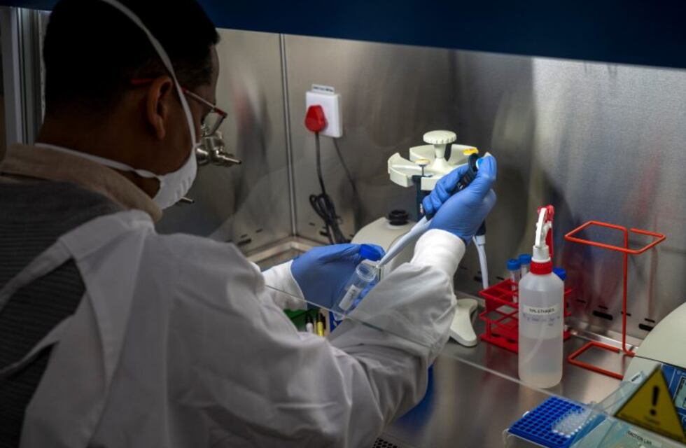 Coronavirus en Neuquén: se registraron 30 nuevos casos