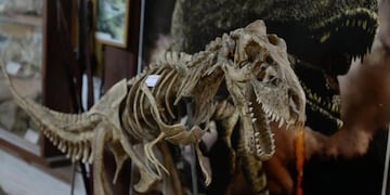 Bariloche tendrá su propia edición de La Noche de los Museos\u002E