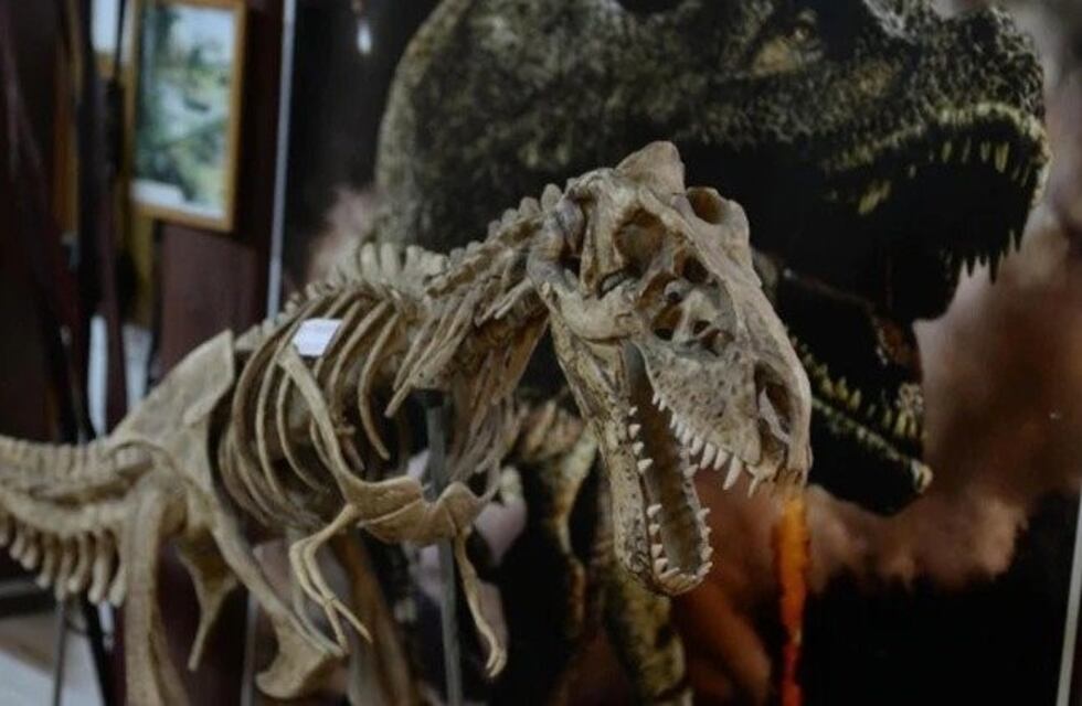 La Noche de los Museos 2019: grilla de las instituciones, direcciones y transporte gratis