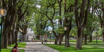 Parque San Martín (web)