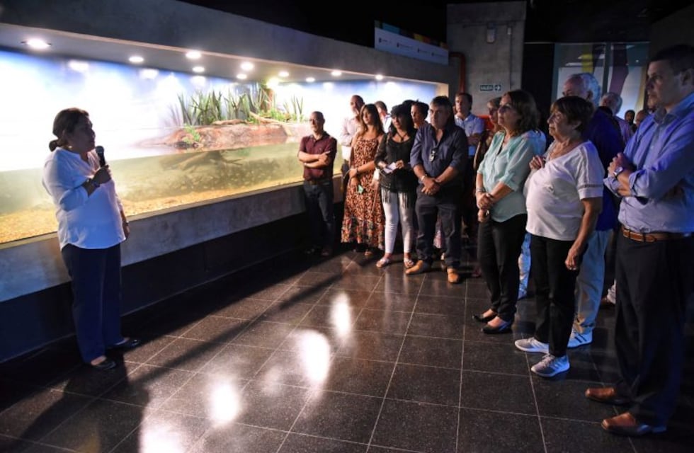 ¡Es furor! En tan sólo cinco días ya pasaron tres mil personas por el acuario