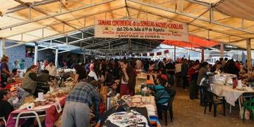 Se realizará en Catamarca la primera edición de la Feria Semillas de la Cultura Viva (Foto: Javier García/El Esquiú)