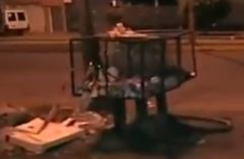 Encontraron a un bebé muerto en un basural de San Fernando