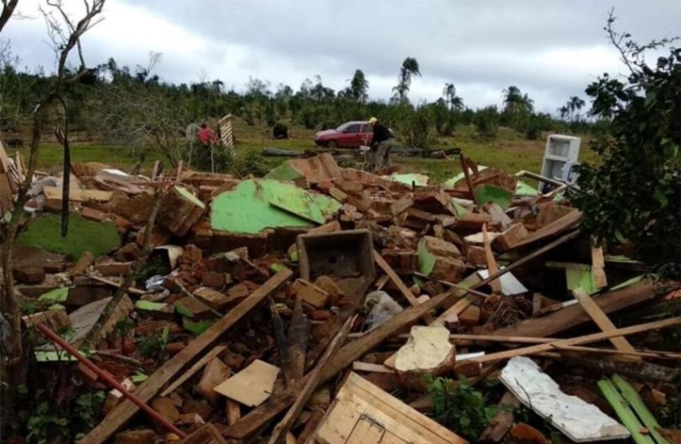 Superviviente del temporal: "Fui aplastada por ese árbol, no me explico cómo estoy viva"