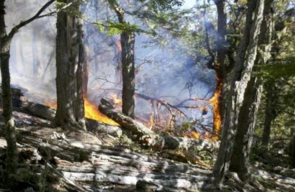 Tierra del Fuego lanza campaña de concientización