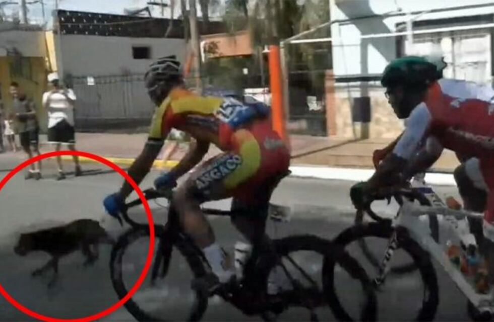 Video: un perro causó una estrepitosa caída en la Vuelta a San Juan