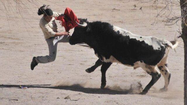 Un torero puneño intenta arrebatarle la vincha al toro en la festividad de CAsabindo