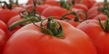 Cuidados con los alimentos\u002E