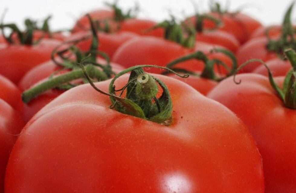 Cómo evitar que los alimentos pongan tu salud en riesgo