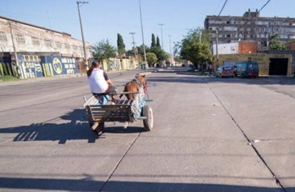 El crimen del sábado en el sur rosarino que reactivó la historia de "los comegatos"