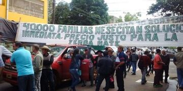 Protestas de los productores yerbateros ante la posible desregularización de los precios