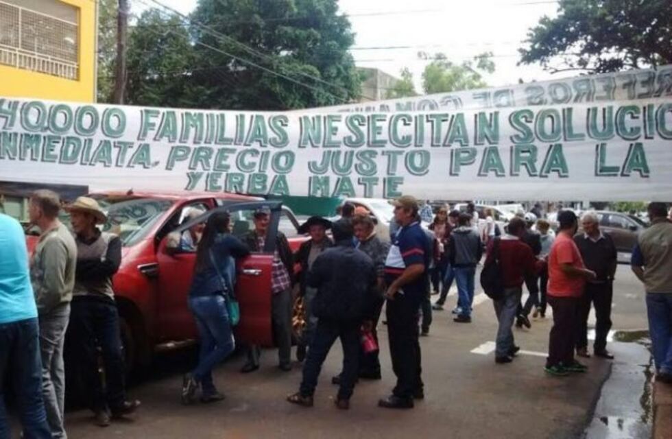 Productores rechazaron la posible desregularización de los precios de la Yerba Mate