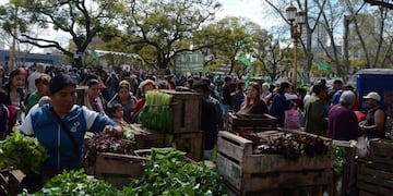 Verdurazo\u002E (Twitter)\u002E