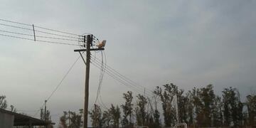 Robo en La Hidráulica - Fotos: La Hidráulica