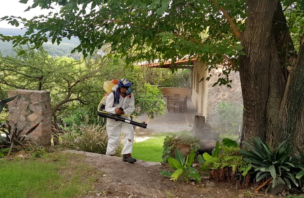 Se registraron 875 casos de dengue en la provincia de Córdoba: una por una, las recomendaciones