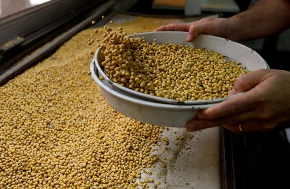 ¡Vamos por los 400 dólares la tonelada!