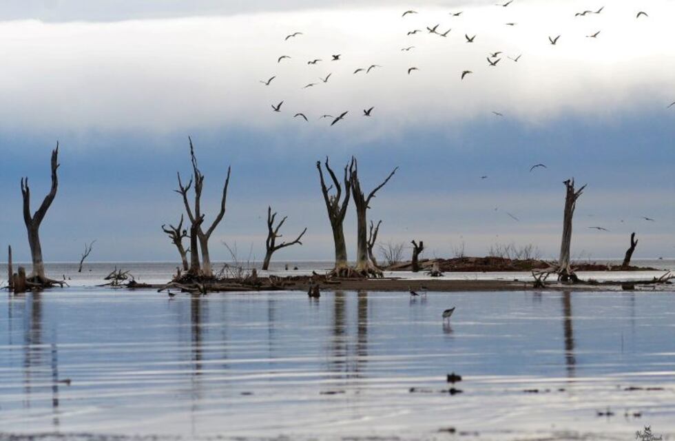 Viernes nublado y ventoso ¿Llegan las lluvias?