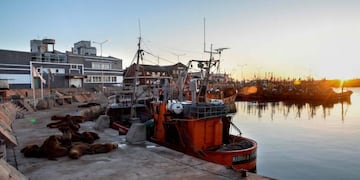 Sea lions are seen during sunrise at Mar del Plata harbour during the lockdown imposed due to the new COVID-19 coronavirus pandemic, in Mar del Plata, some 400 km south of Buenos Aires, Argentina on April 16, 2020\u002E (Photo by MARA SOSTI / AFP)