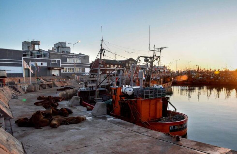 SOMU iniciará acciones legales al concejal Latanzzio