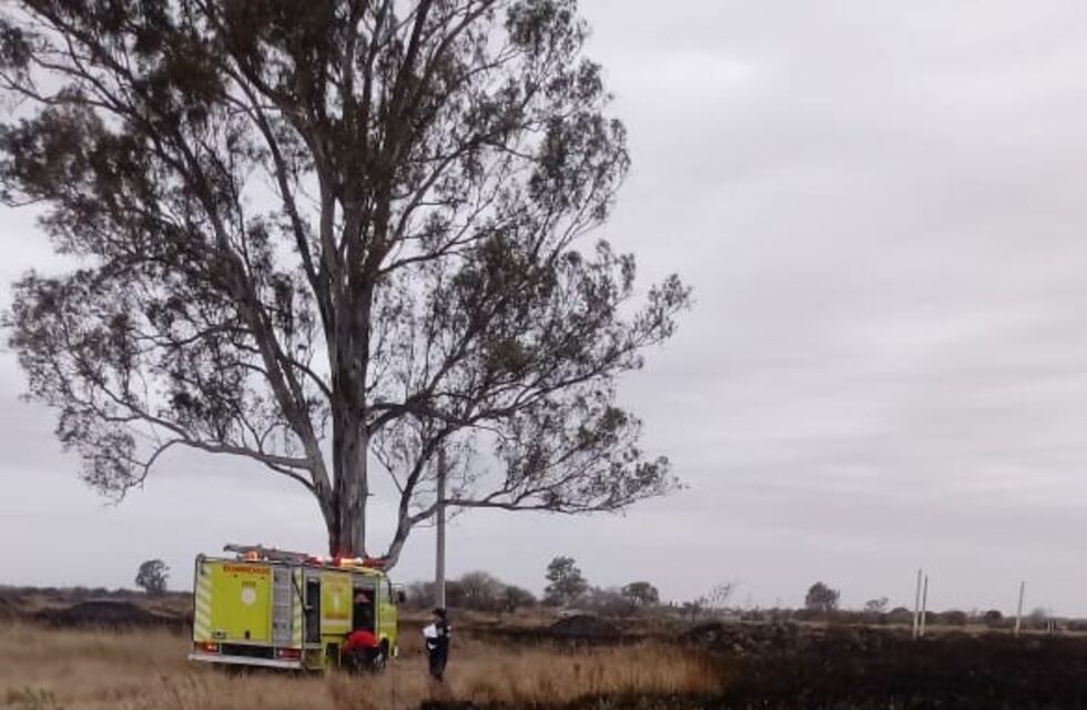 Bouwer: se incendió una hectárea del predio Portales del Sur