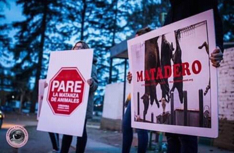 Villa Allende: manifestación pacífica en contra de la matanza de animales