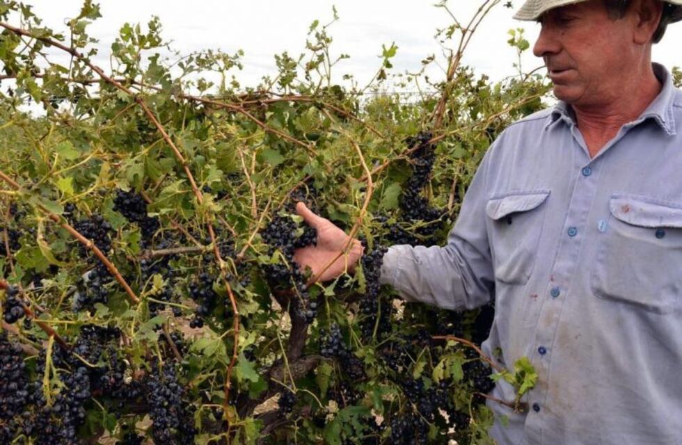 La Provincia le pide a la nacion homologar decretos de emergencia