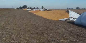 Las imágenes fueron registradas en Murphy\u002E (FB / LT29)