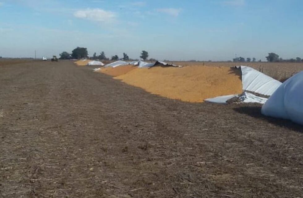 Carsfe denuncia nuevas roturas de silobolsas en campos del sur provincial