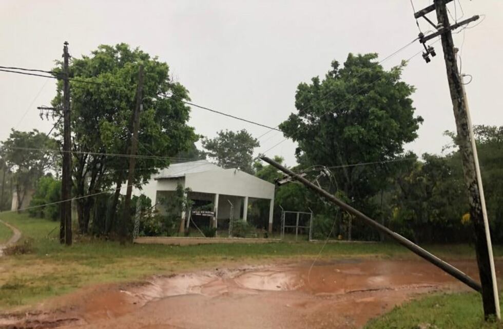 Tras el temporal cayeron árboles, cartelería y hasta tendido eléctrico