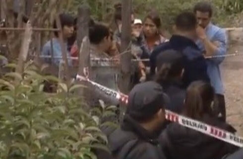 Murió una mujer que fue arrollada por un tren en Avellaneda al 4500