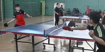 tenis de mesa