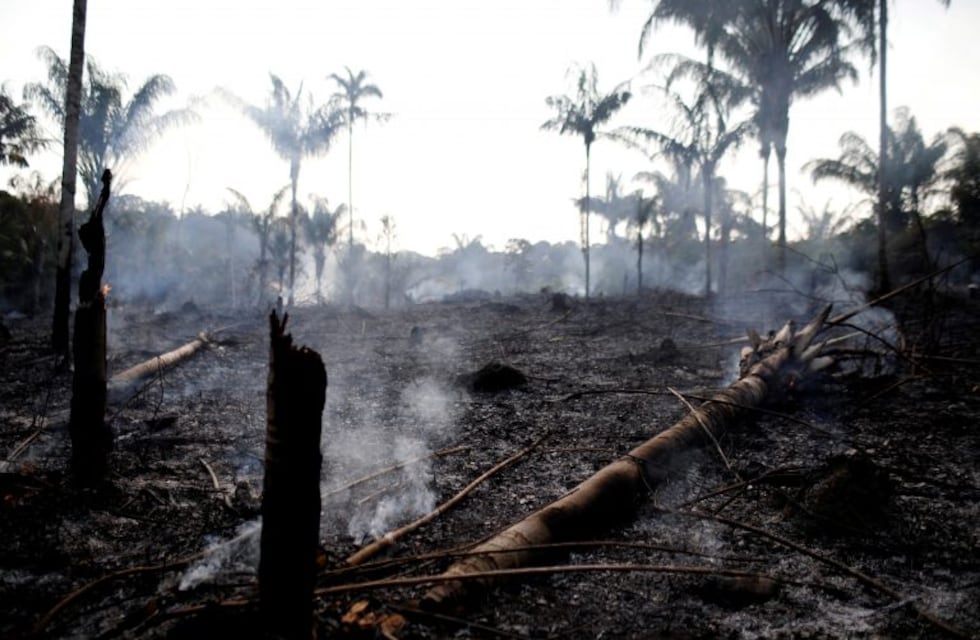 Imágenes satelitales muestran cómo el fuego destruye la Amazonia de Brasil