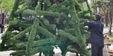 Culminan armado del árbol navideño y mejoran arterias y espacios verdes