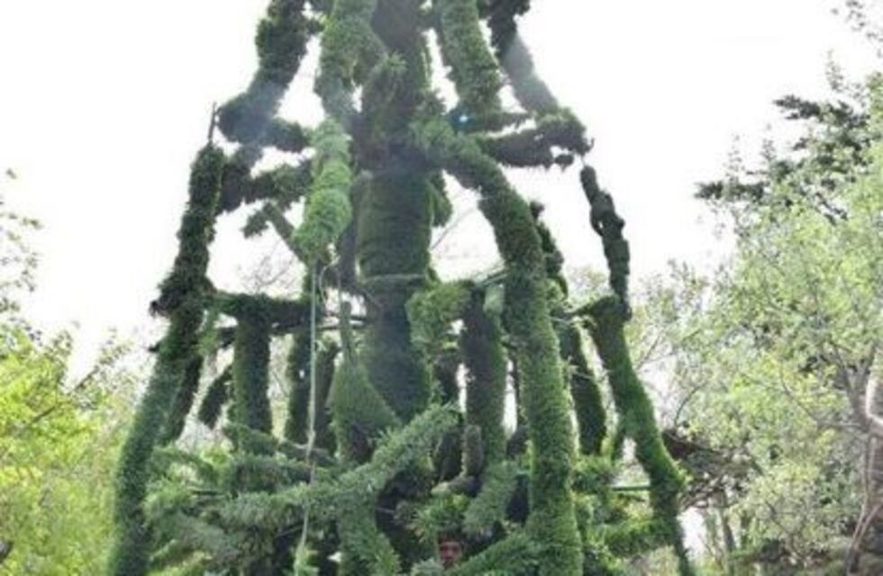 Culminan armado del árbol navideño y mejoran arterias y espacios verdes